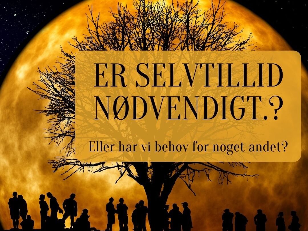 Er selvtillid nødvendigt? Eller har vi brug for noget andet?